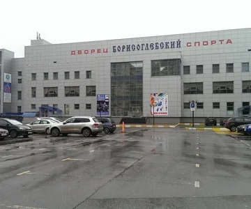 МУ МФК «Дворец спорта «Борисоглебский»